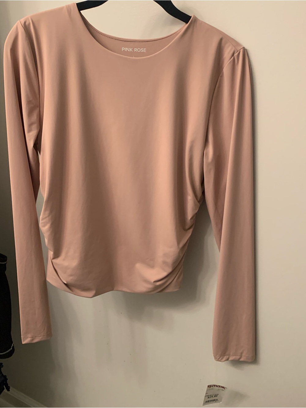 Pink Rose Long Sleeve Crewneck Top with ruching on the sides in pale pink